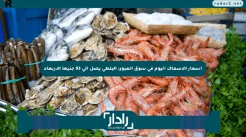 أسعار الأسماك اليوم في سوق العبور: البلطي يصل إلى 93 جنيها الأربعاء